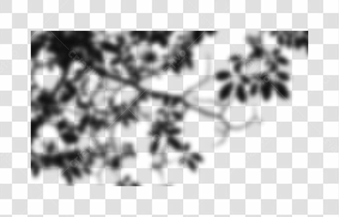 Overlay PNG folhas sombras fundo transparente