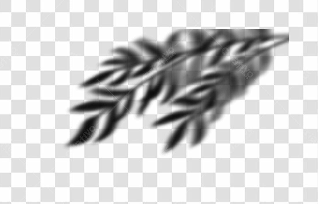Sobreposição PNG com fundo transparente sombras folhas