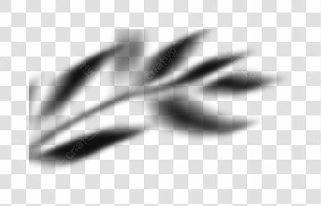Elemento decorativo Folhas PNG com fundo transparente