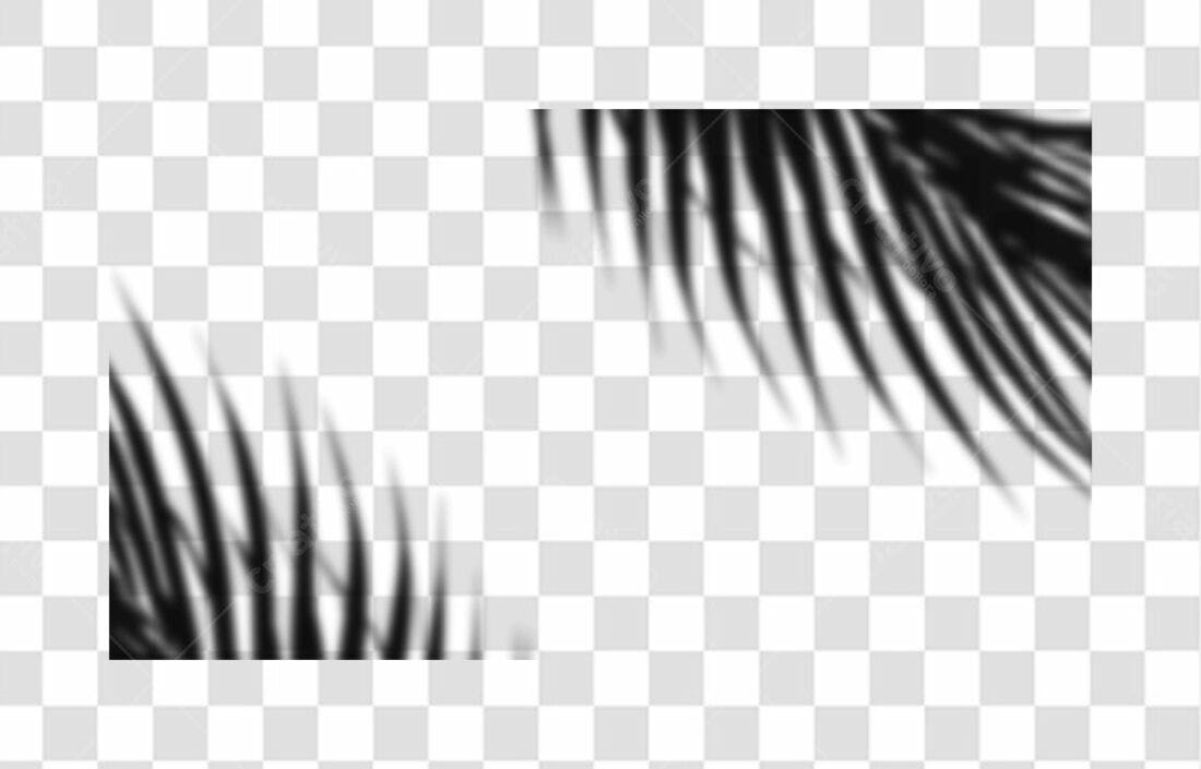 Banner tropical com sombra de folha PNG com fundo transparente