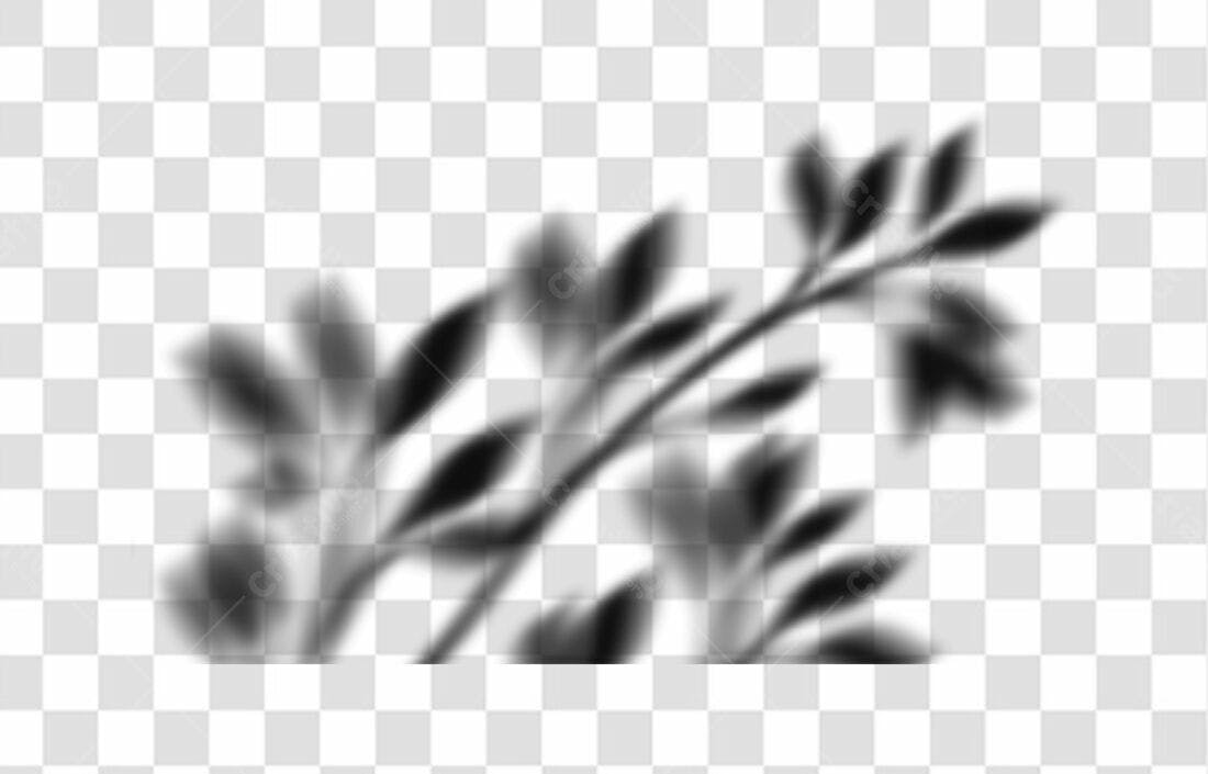 Overlay PNG com fundo transparente sombras de folhas