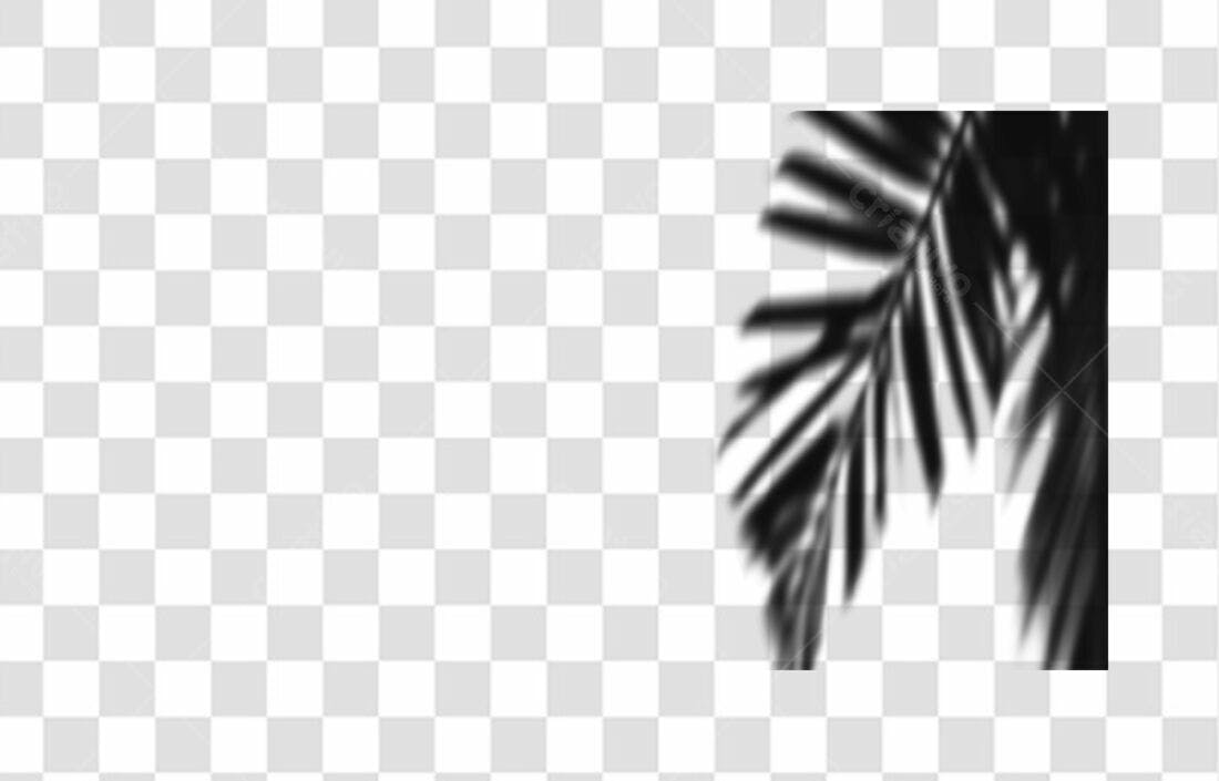 Sobreposição de sombra folha PNG com fundo transparente