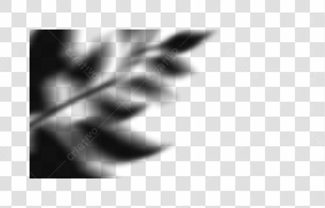 Sobreposição PNG com fundo transparente Sombra Folhas