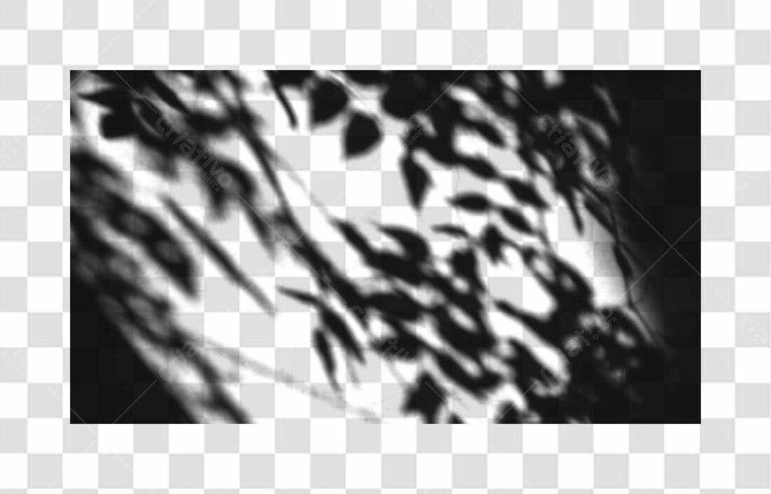 Overlay PNG com fundo transparente sombras folhas