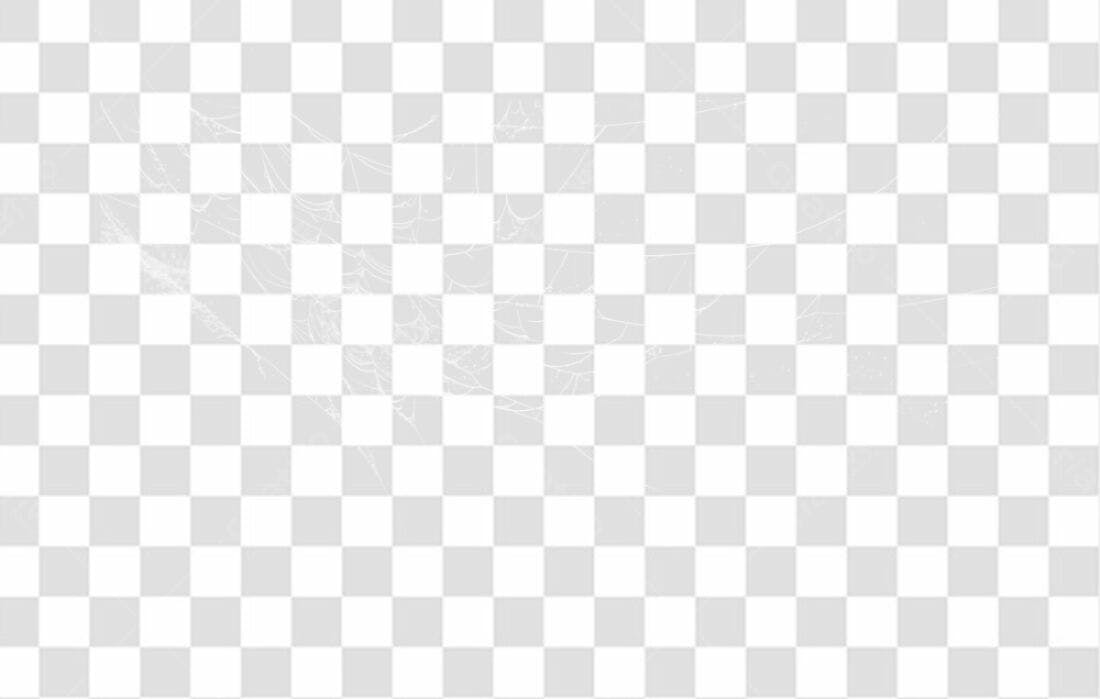 Overlay PNG com fundo transparente Teia de Aranha