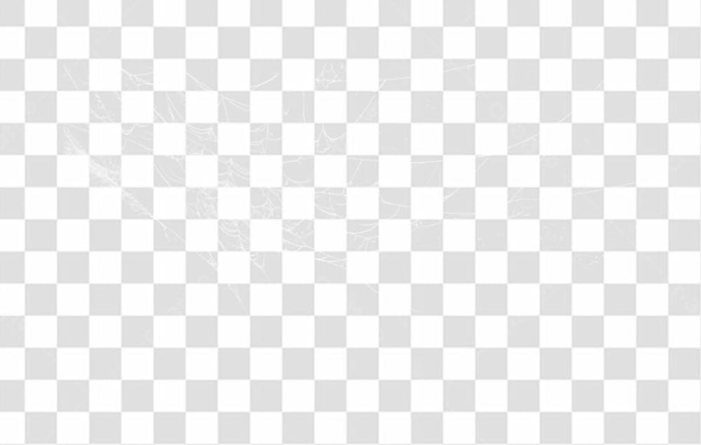 Spider Web Texture Png 8K High Resolution