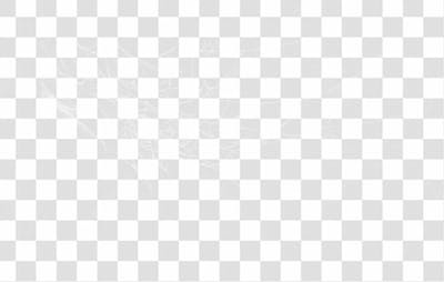 Spider Web Texture Png 8K High Resolution