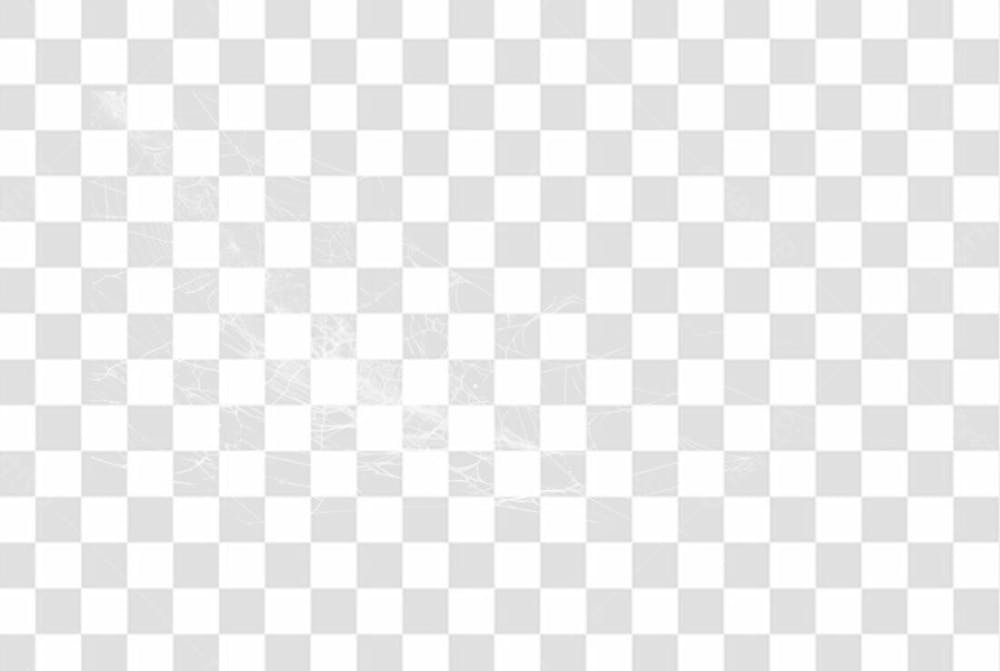Spider Web Texture Png 8K High Resolution