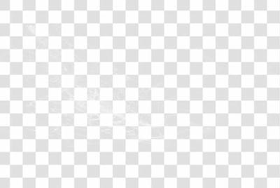 Spider Web Texture Png 8K High Resolution