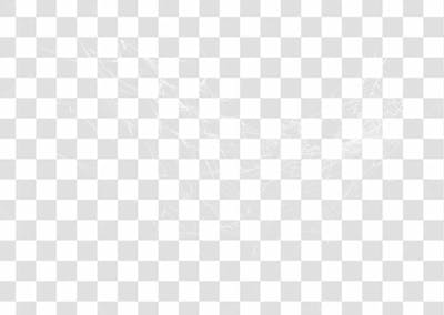 Spider Web Texture Png 8K High Resolution
