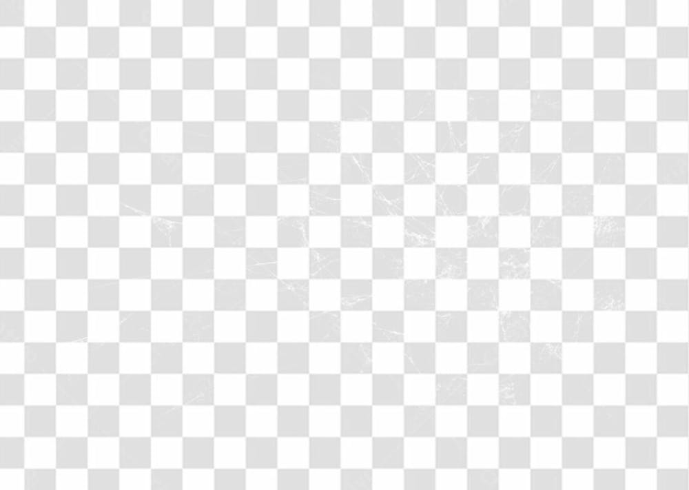 Spider Web Texture Png 8K High Resolution