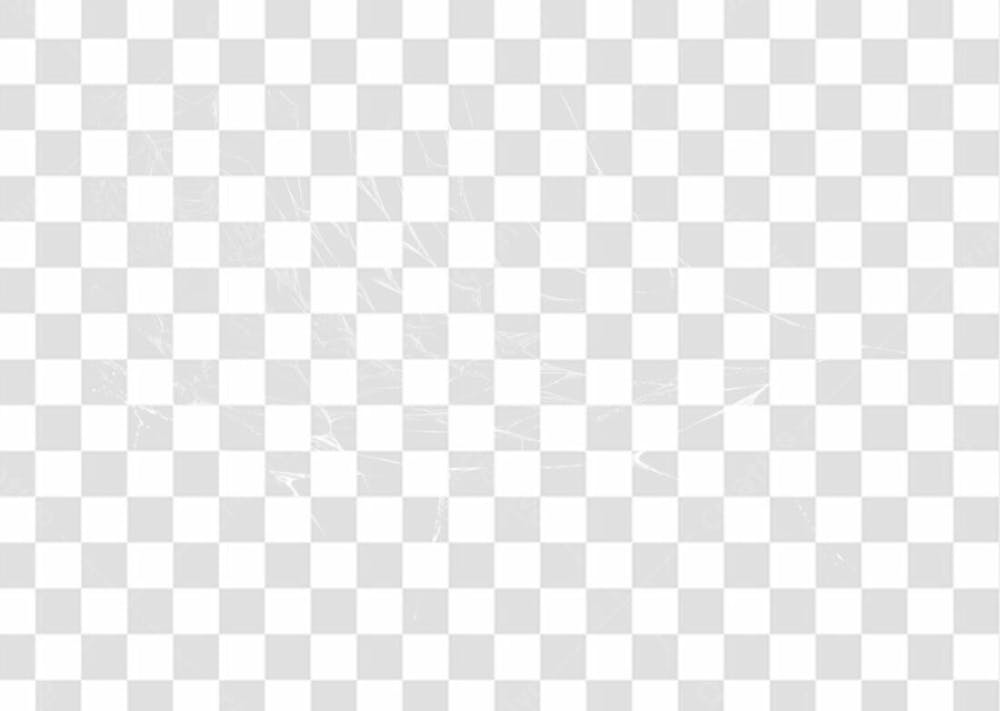 Spider Web Texture Png 8K High Resolution