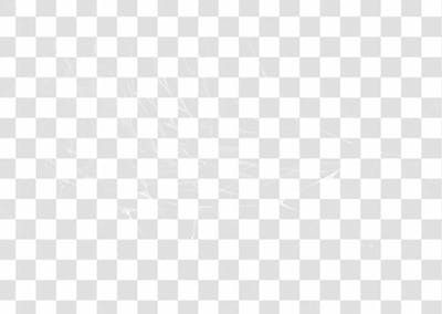 Spider Web Texture Png 8K High Resolution
