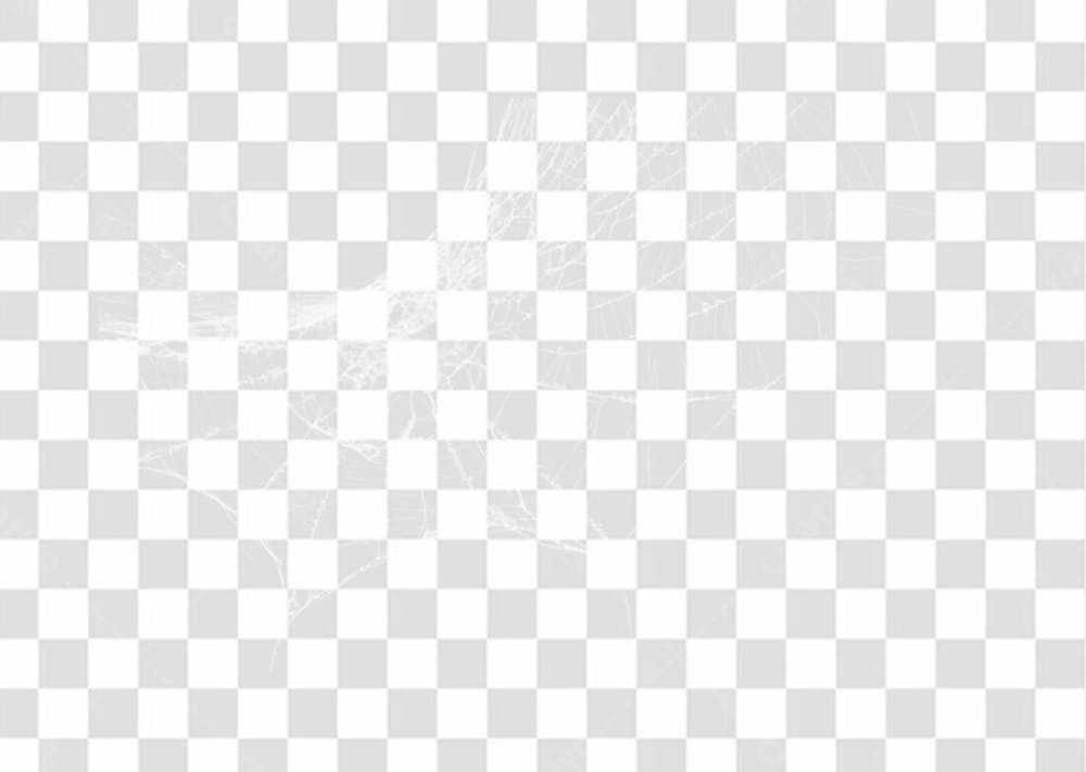Spider Web Texture Png 8K High Resolution