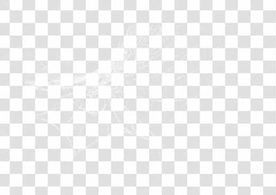 Spider Web Texture Png 8K High Resolution