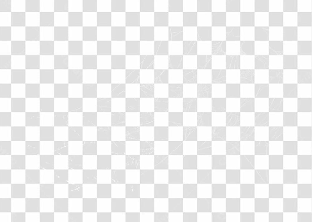Spider Web Texture Png 8K High Resolution