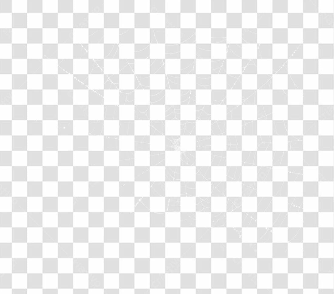 PNG Elemento Aranha Halloween com fundo transparente