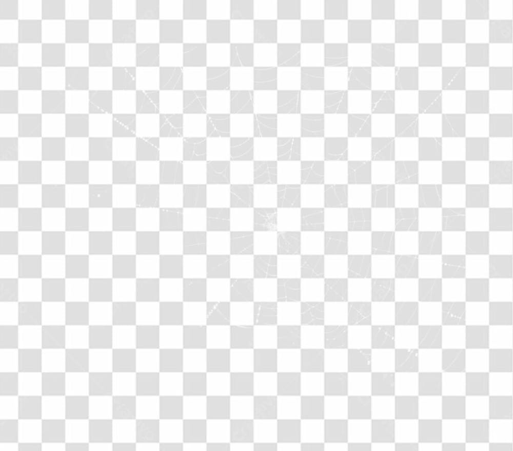Spider Web Texture Png 8K High Resolution