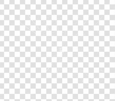 Spider Web Texture Png 8K High Resolution