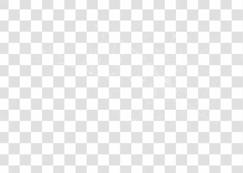 Spider Web Texture Png 8K High Resolution