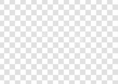Spider Web Texture Png 8K High Resolution