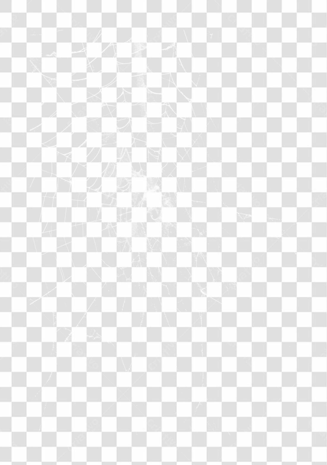 Overlay teia de aranha PNG com fundo transparente