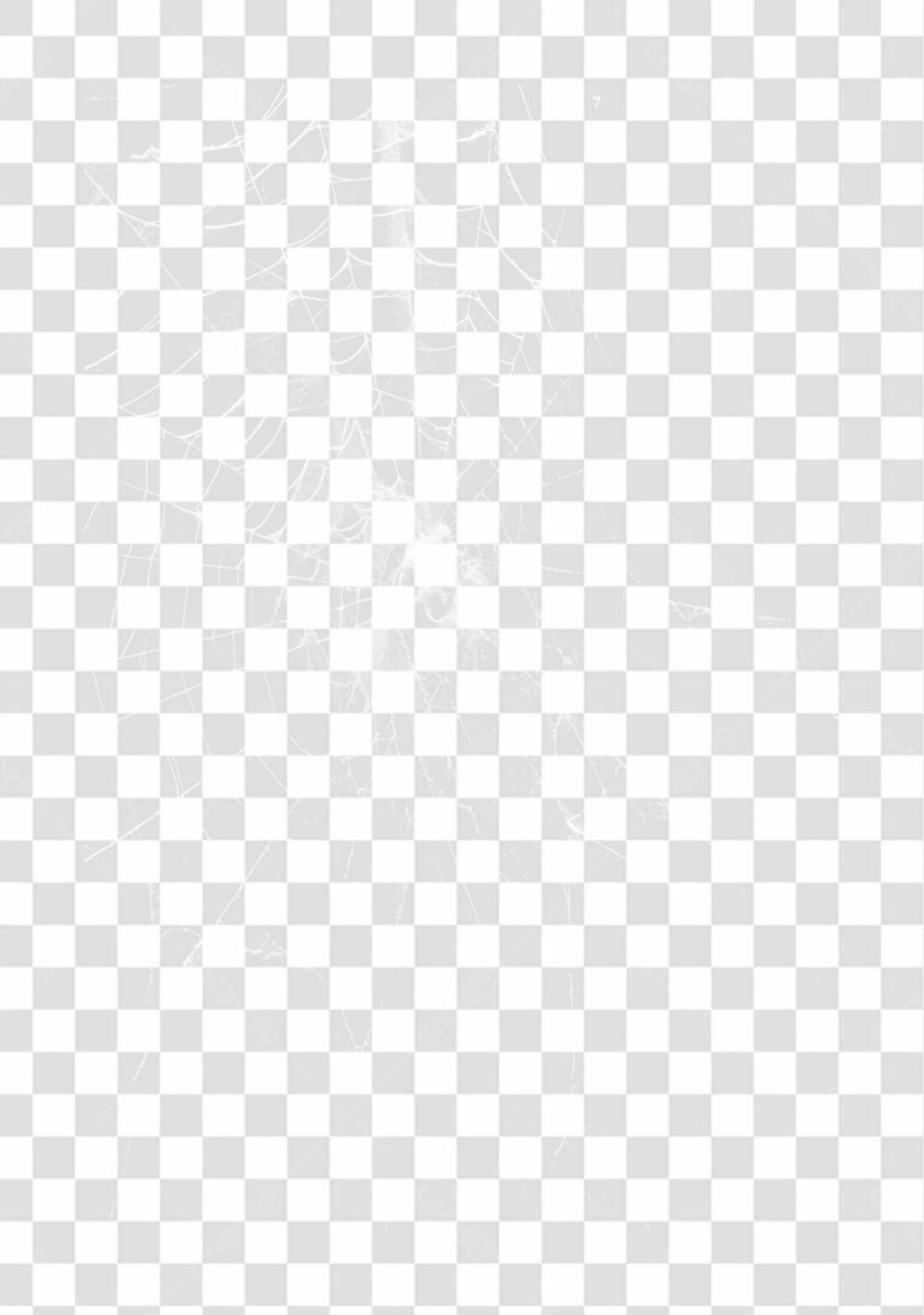 Spider Web Texture Png 8K High Resolution