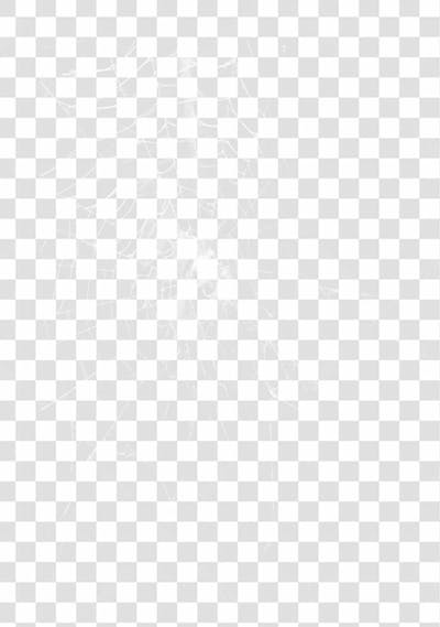 Spider Web Texture Png 8K High Resolution