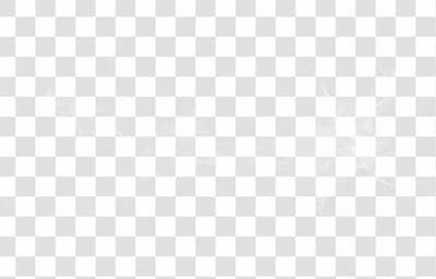 Spider Web Texture Png 8K High Resolution