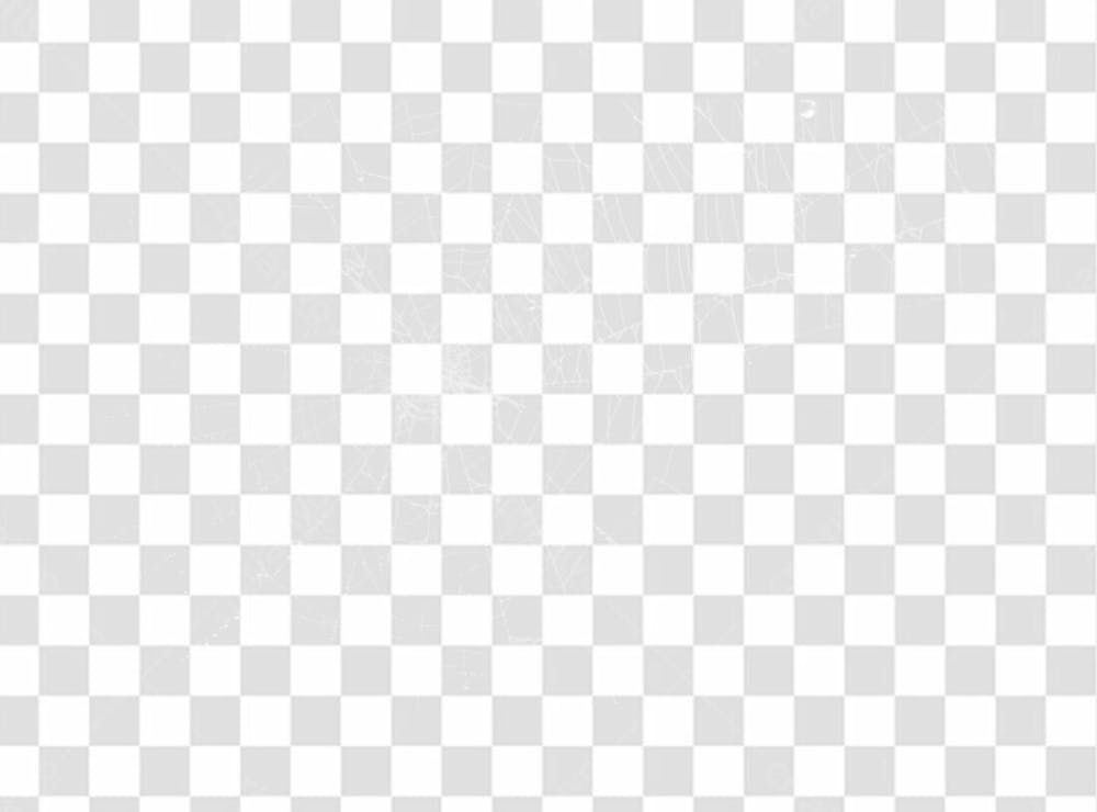 Spider Web Texture Png 8K High Resolution