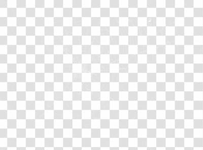 Spider Web Texture Png 8K High Resolution