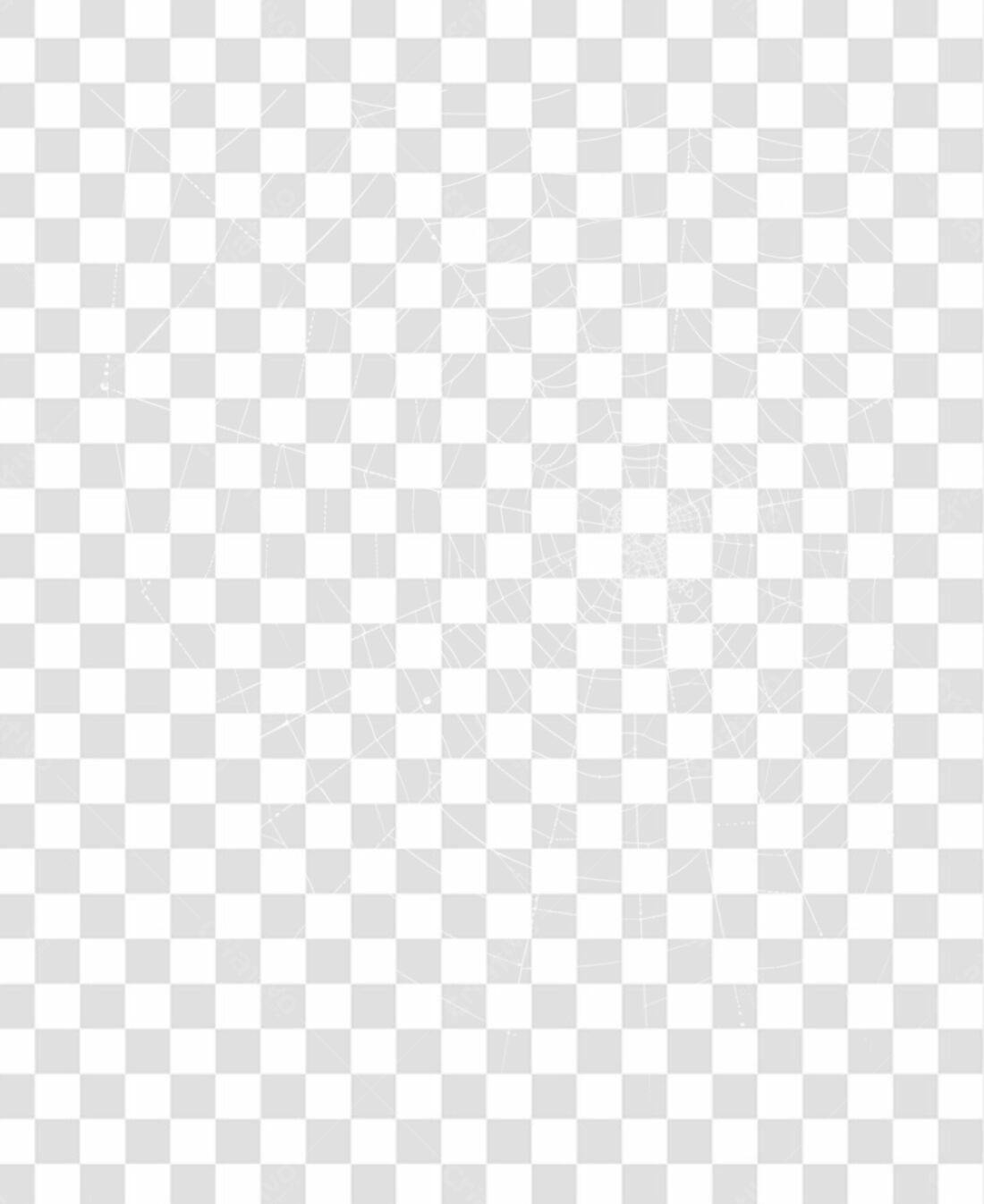 Elemento PNG teia de aranha com fundo transparente
