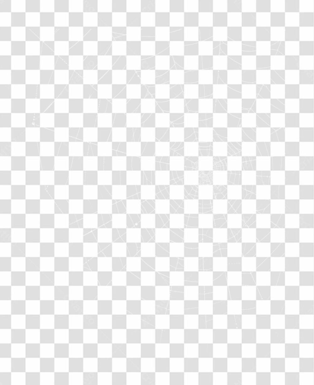 Spider Web Texture Png 8K High Resolution