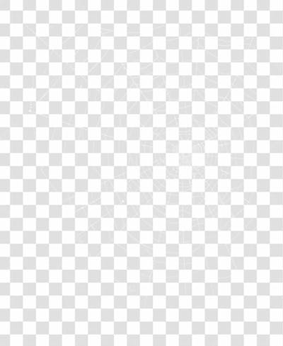 Spider Web Texture Png 8K High Resolution