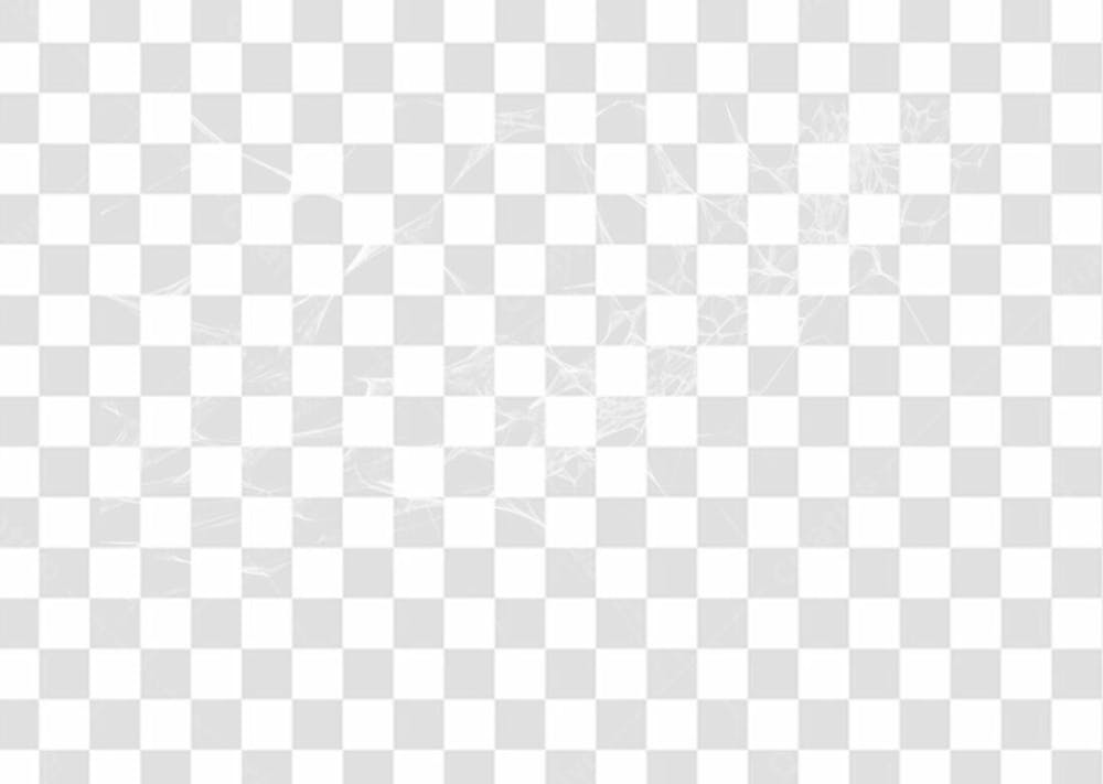 Spider Web Texture Png 8K High Resolution