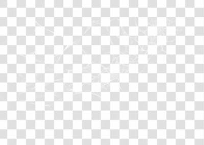 Spider Web Texture Png 8K High Resolution