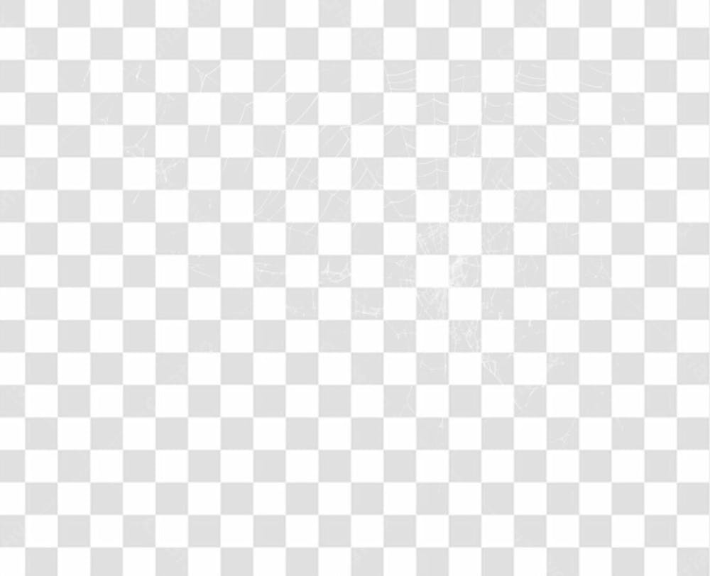 Spider Web Texture Png 8K High Resolution