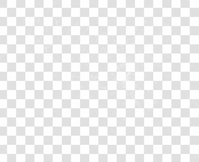 Spider Web Texture Png 8K High Resolution