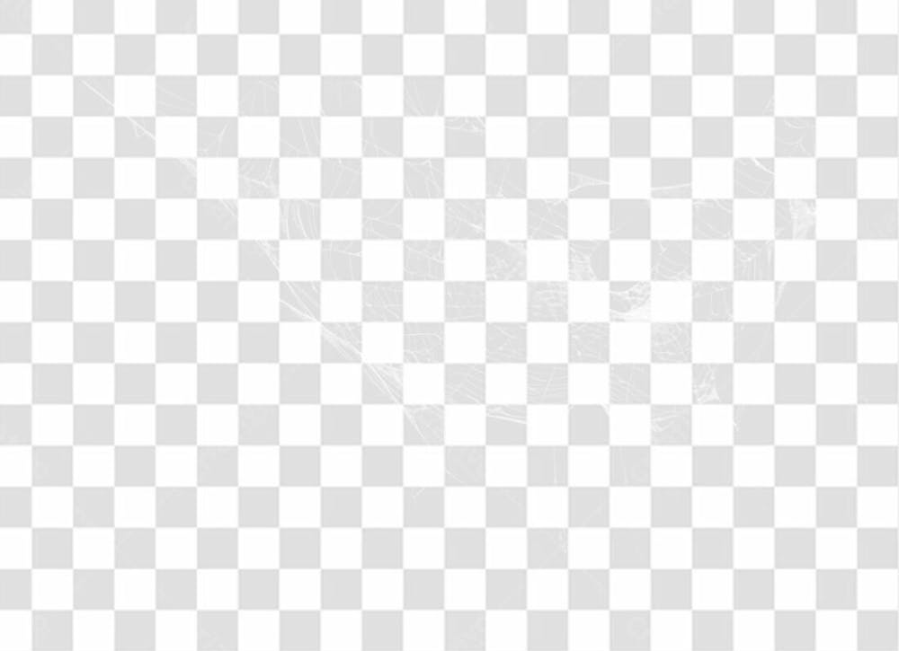Spider Web Texture Png 8K High Resolution