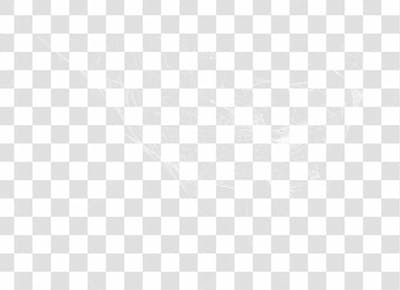 Spider Web Texture Png 8K High Resolution