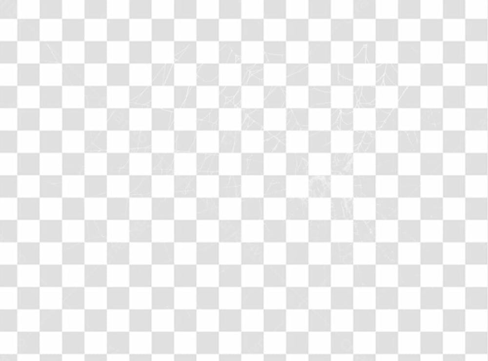 Spider Web Texture Png 8K High Resolution