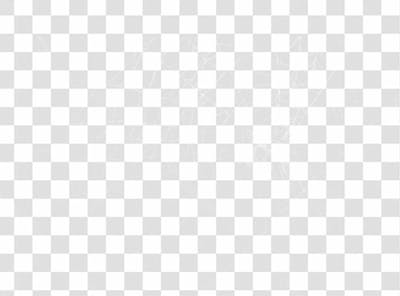 Spider Web Texture Png 8K High Resolution