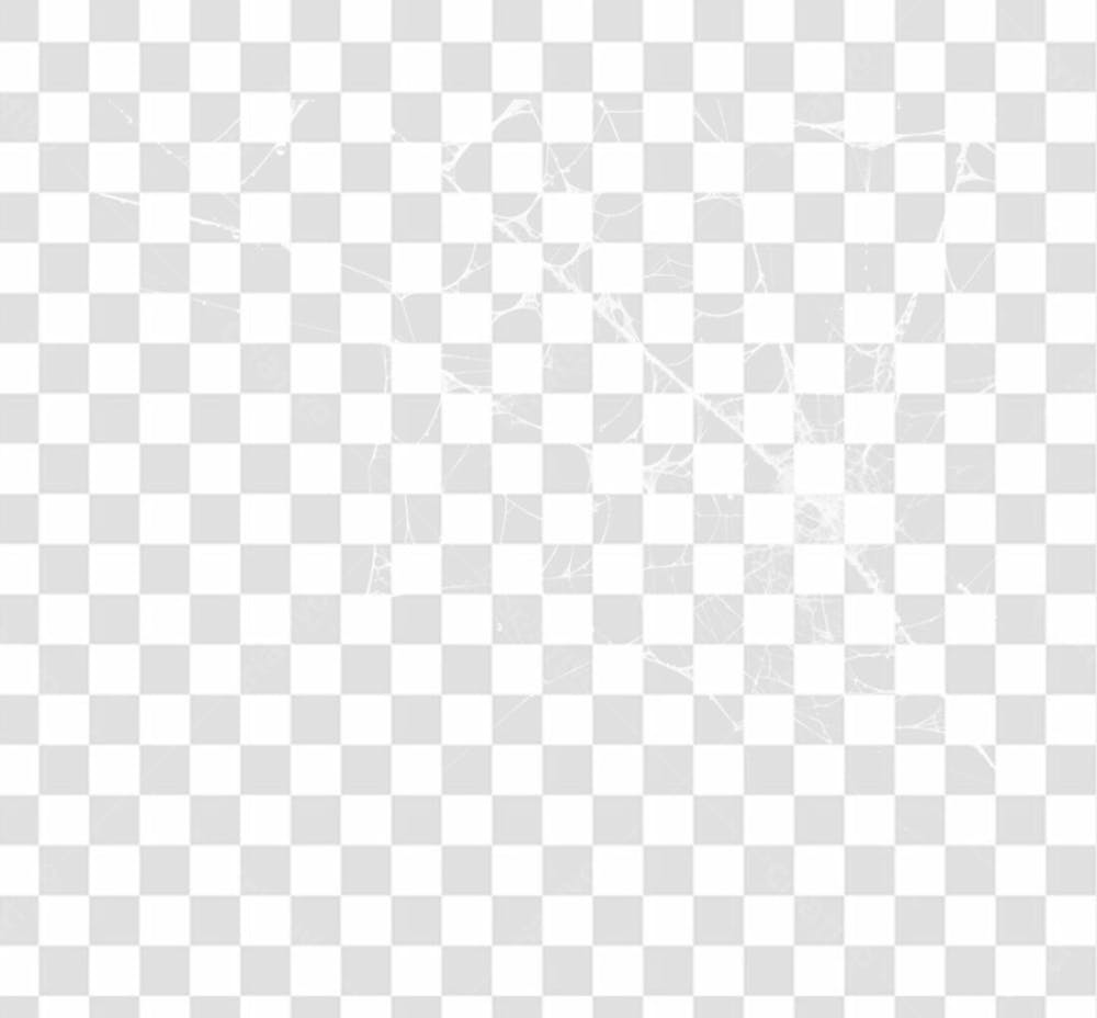 Spider Web Texture Png 8K High Resolution