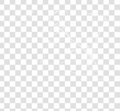 Spider Web Texture Png 8K High Resolution