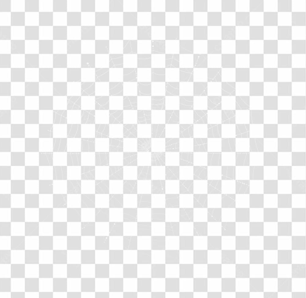 Spider Web Texture Png 8K High Resolution