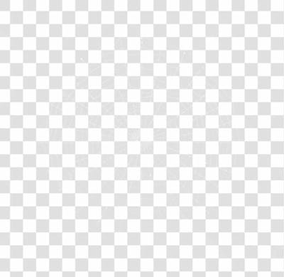 Spider Web Texture Png 8K High Resolution