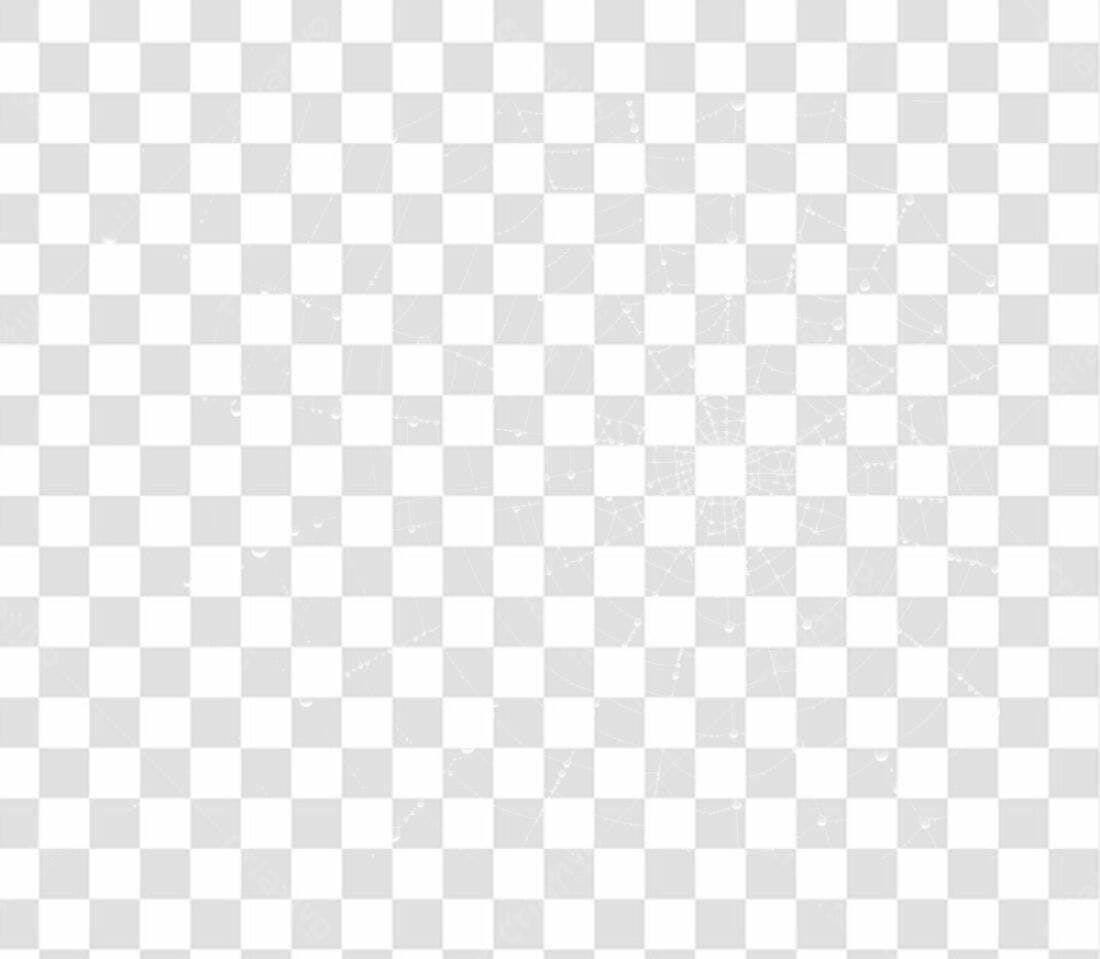 Elemento PNG teia de aranha com fundo transparente