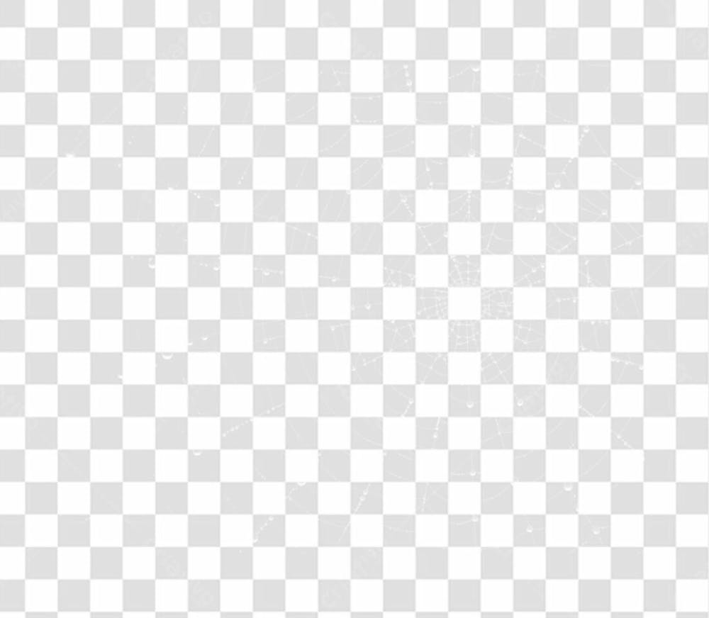 Spider Web Texture Png 8K High Resolution