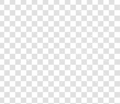 Spider Web Texture Png 8K High Resolution
