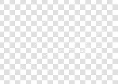 Spider Web Texture Png 8K High Resolution